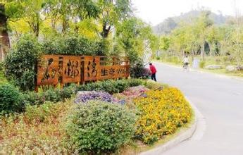 2025年园林绿化工程师证如何考取？最新报考要求与政策解析