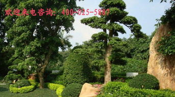 与自然共居 探访院境园林的全景生活美学