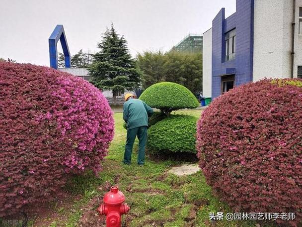 园林绿化不是种完就完事,养护才是灵魂